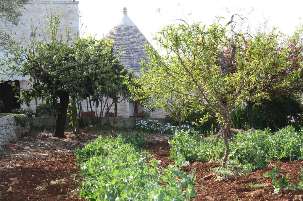 Il Trullo Di Nonna Lella Guest House Castellana Grotte Bagian luar foto