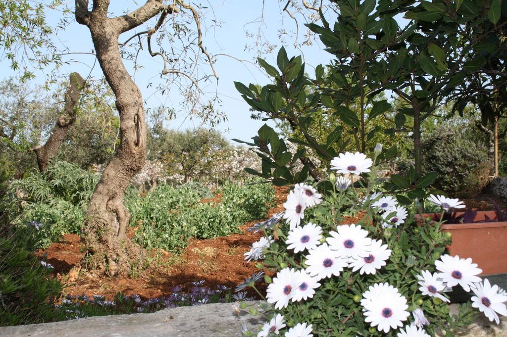 Il Trullo Di Nonna Lella Guest House Castellana Grotte Bagian luar foto