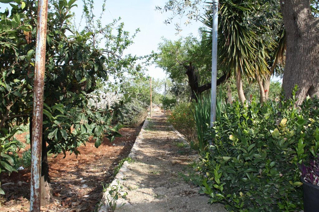 Il Trullo Di Nonna Lella Guest House Castellana Grotte Bagian luar foto