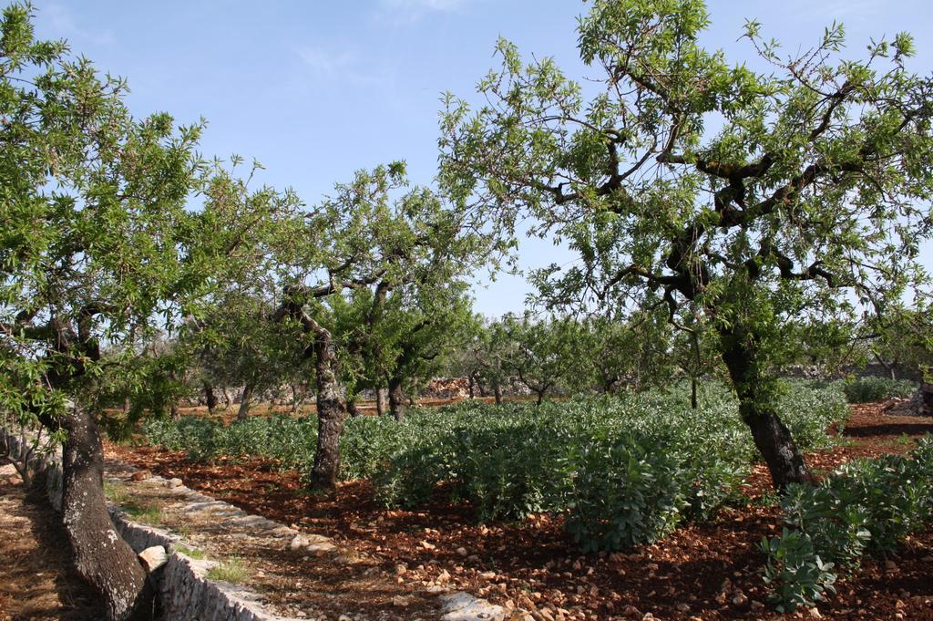 Il Trullo Di Nonna Lella Guest House Castellana Grotte Bagian luar foto